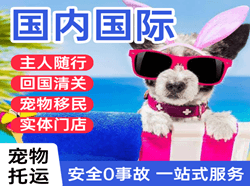 合肥航空空运国际宠物托运 【国